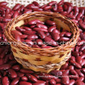 Chinese High Quality Black Kidney Bean